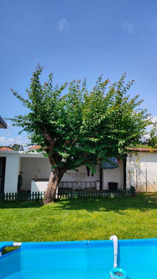 House With Pool And Garden In Esmoriz Near Porto Villa Exterior photo